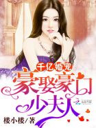 千亿婚宠豪娶豪门少夫人笔趣阁