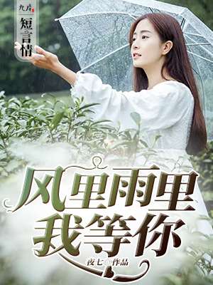 风里雨里我在等你简谱