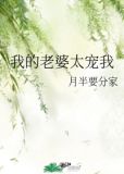 我的老婆太宠我小说
