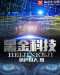 黑金科技电脑