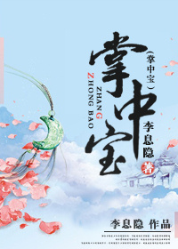 掌中宝小说