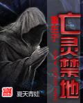 亡灵重现 小说