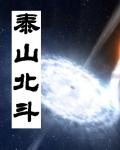 泰山北斗酒业有限公司