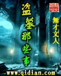 盗墓那些事小说