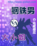 钢铁大公小说