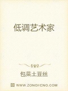 低调的作家