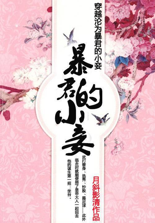 穿越沦为暴君的小妾另一个名字