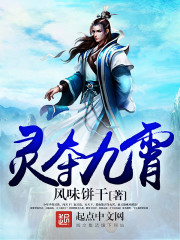 灵焚九霄 小说