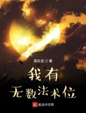 我有无数法术位 小说
