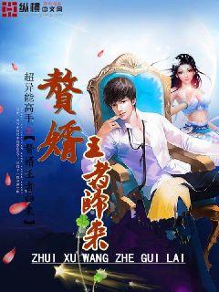 赘婿归来1816