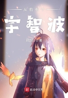 从前有个宇智波小说全文免费阅读