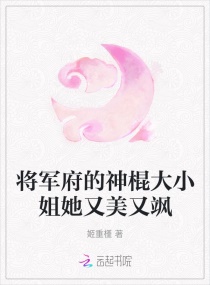 小说将军府