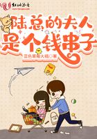陆总夫人的小马甲又掉了免费阅读