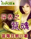 紫魂的小说作品