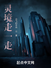 行走灵境小说