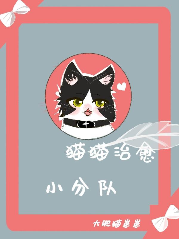 治愈猫咪