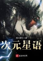 次元星语txt下载