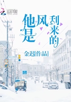 他是风刮来的英文