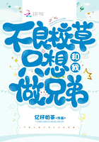 不良校霸小说