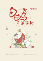 自由鸟与笨笨树 叶唇膏