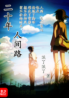 二十年人间路无弹窗免费在线阅读