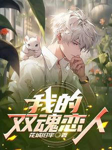 双恋之谁动了我的男宠