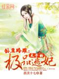 玲珑公主锦墨