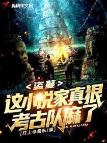 盗墓文物小说