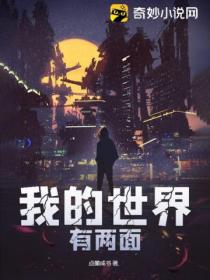 我的世界只有一两帧